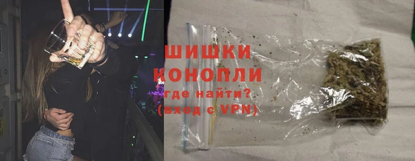 трава Коряжма