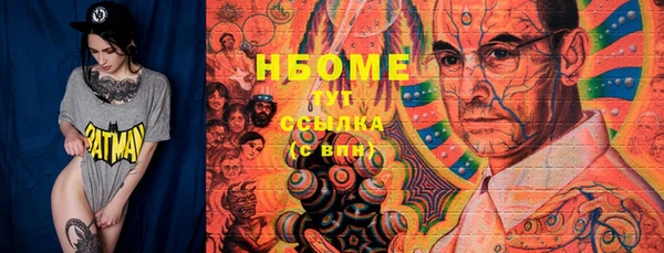 трава Коряжма