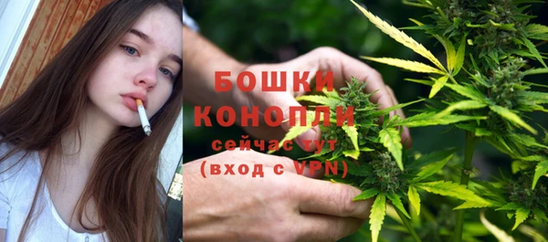 МДПВ Костерёво