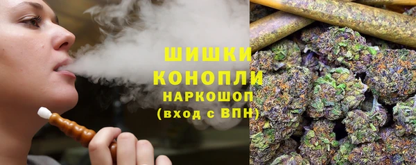 МДПВ Костерёво