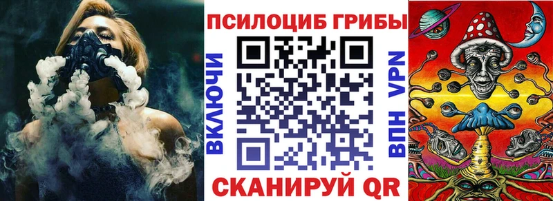 Купить где Липки Псилоцибиновые грибы MAGIC MUSHROOMS