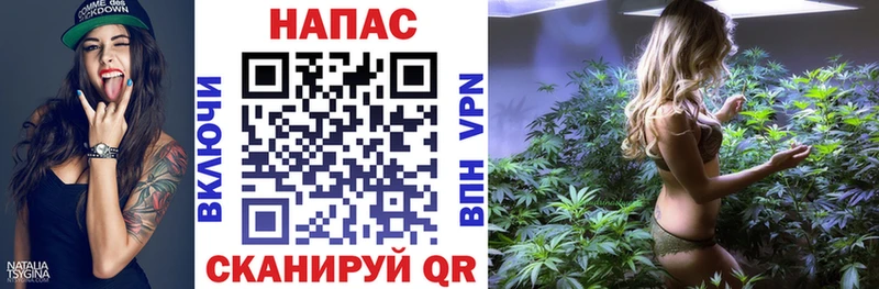 Купить закладки  Липки  Бошки Шишки семена 